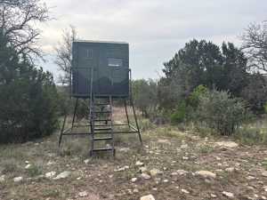 1085 Fallow Rd (12)