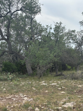 1085 Fallow Rd (29)