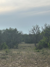 1085 Fallow Rd (21)