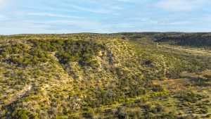 Poverty Canyon Rd (36)