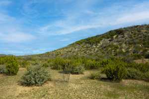 Poverty Canyon Rd (47)