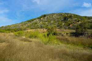 Poverty Canyon Rd (44)
