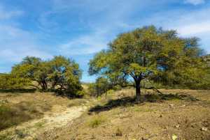 Poverty Canyon Rd (17)