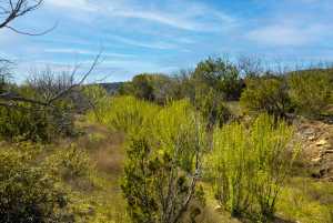 Poverty Canyon Rd (54)