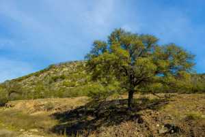 Poverty Canyon Rd (55)