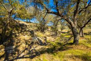 Poverty Canyon Rd (40)