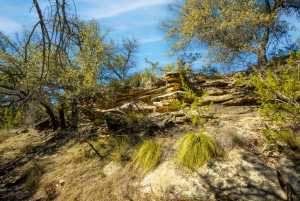 Poverty Canyon Rd (46)