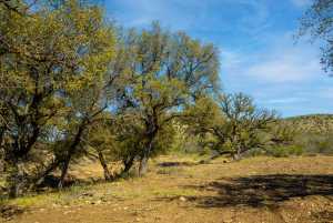 Poverty Canyon Rd (50)