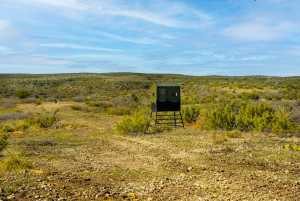 Poverty Canyon Rd (48)