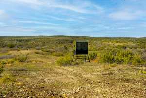 Poverty Canyon Rd (50)