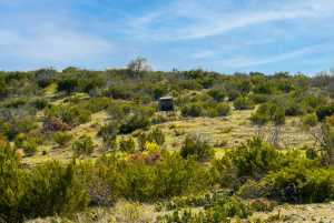Poverty Canyon Rd (41)
