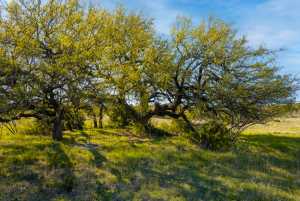 Poverty Canyon Rd (50)