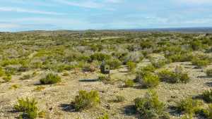 Poverty Canyon Rd (25)