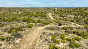 Poverty Canyon Rd (7)