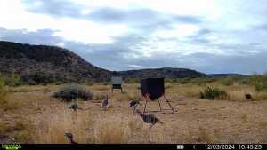Poverty Canyon Rd (8)