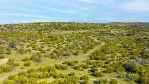 Poverty Canyon Rd (32)
