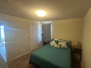 1227 Elmo Lane (12)