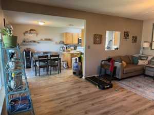 1227 Elmo Lane (5)