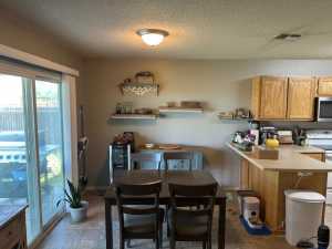 1227 Elmo Lane (7)