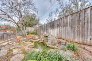 2332 Sul Ross St (15)