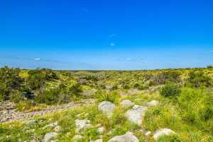 935 Deer Run Rd (14)
