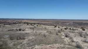 Hwy 67 (14)