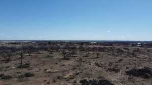 Hwy 67 (5)