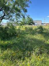 7594 Violet St (4)