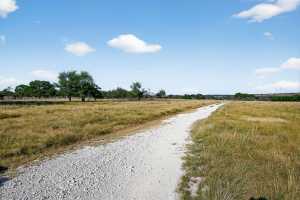 356 County Rd 132 (20)