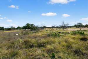 356 County Rd 132 (10)