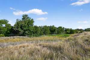 356 County Rd 132 (24)