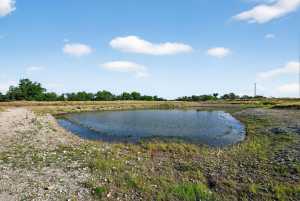 356 County Rd 132 (6)