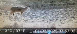 356 County Rd 132 (2)
