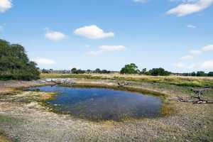356 County Rd 132 (13)