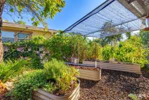 2505 Douglas Dr (38)