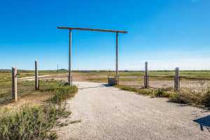 11670 Walnut Grove Rd