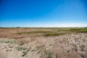 11670 Walnut Grove Rd (2)