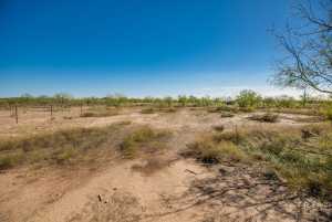 11670 Walnut Grove Rd (35)