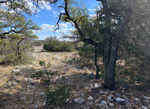 1512 Persimmon Rd (9)