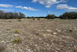 1512 Persimmon Rd (8)