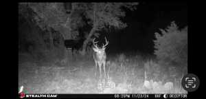 1512 Persimmon Rd (2)