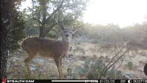 1512 Persimmon Rd (7)