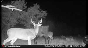 1512 Persimmon Rd (5)