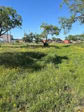 7576 Violet St (2)