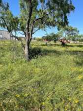 7576 Violet St (3)