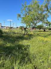 7576 Violet St (4)