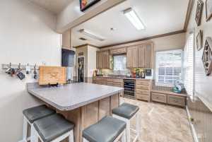 1103 S Concho Dr (9)