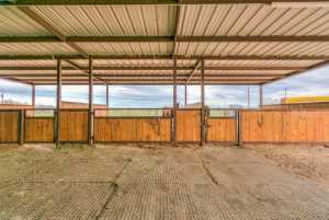 6650 Treece Rd (24)