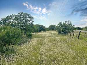 TBD W Hwy 190 (13)