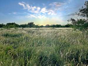 TBD W Hwy 190 (14)
